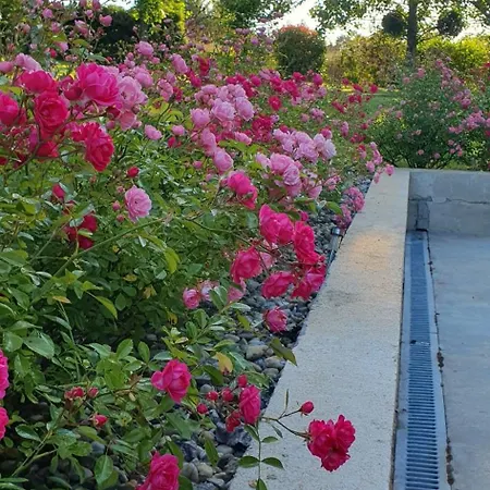 La Paudila * Saint-Martin-de-Gurçon