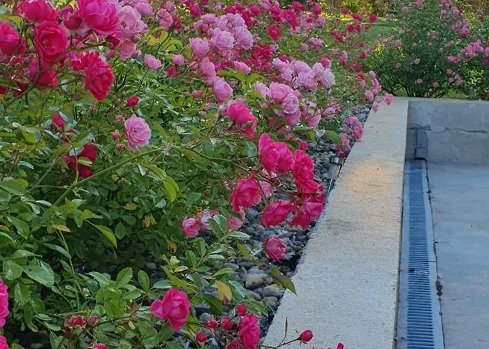 La Paudila * Saint-Martin-de-Gurçon